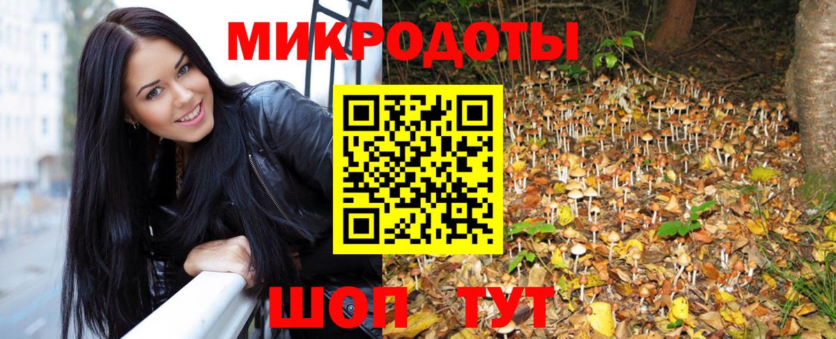 Галлюциногенные грибы ЛСД Карпинск